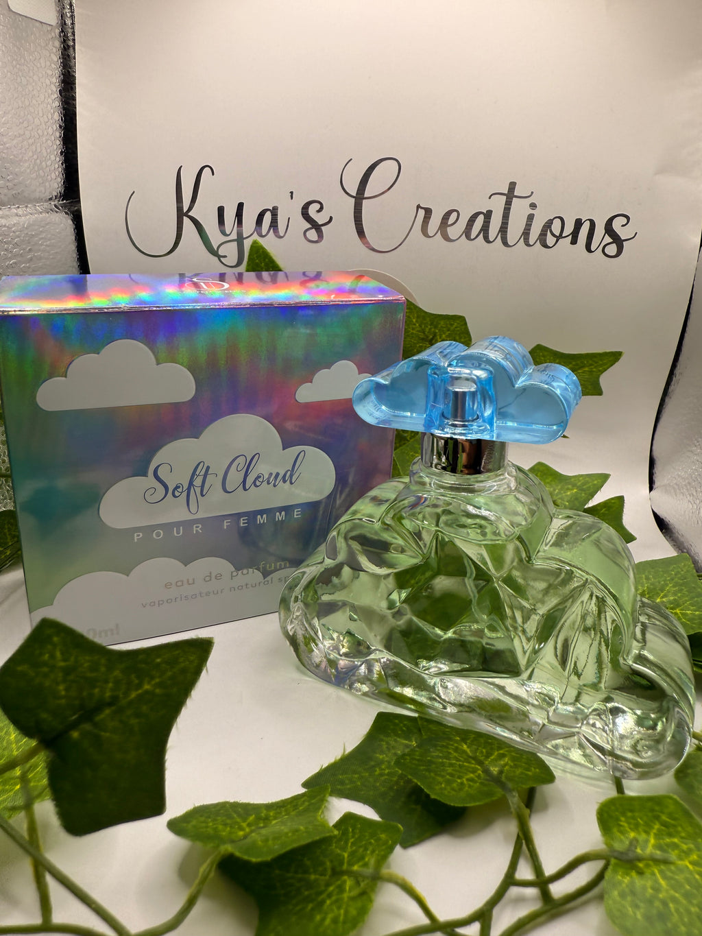 Soft Cloud