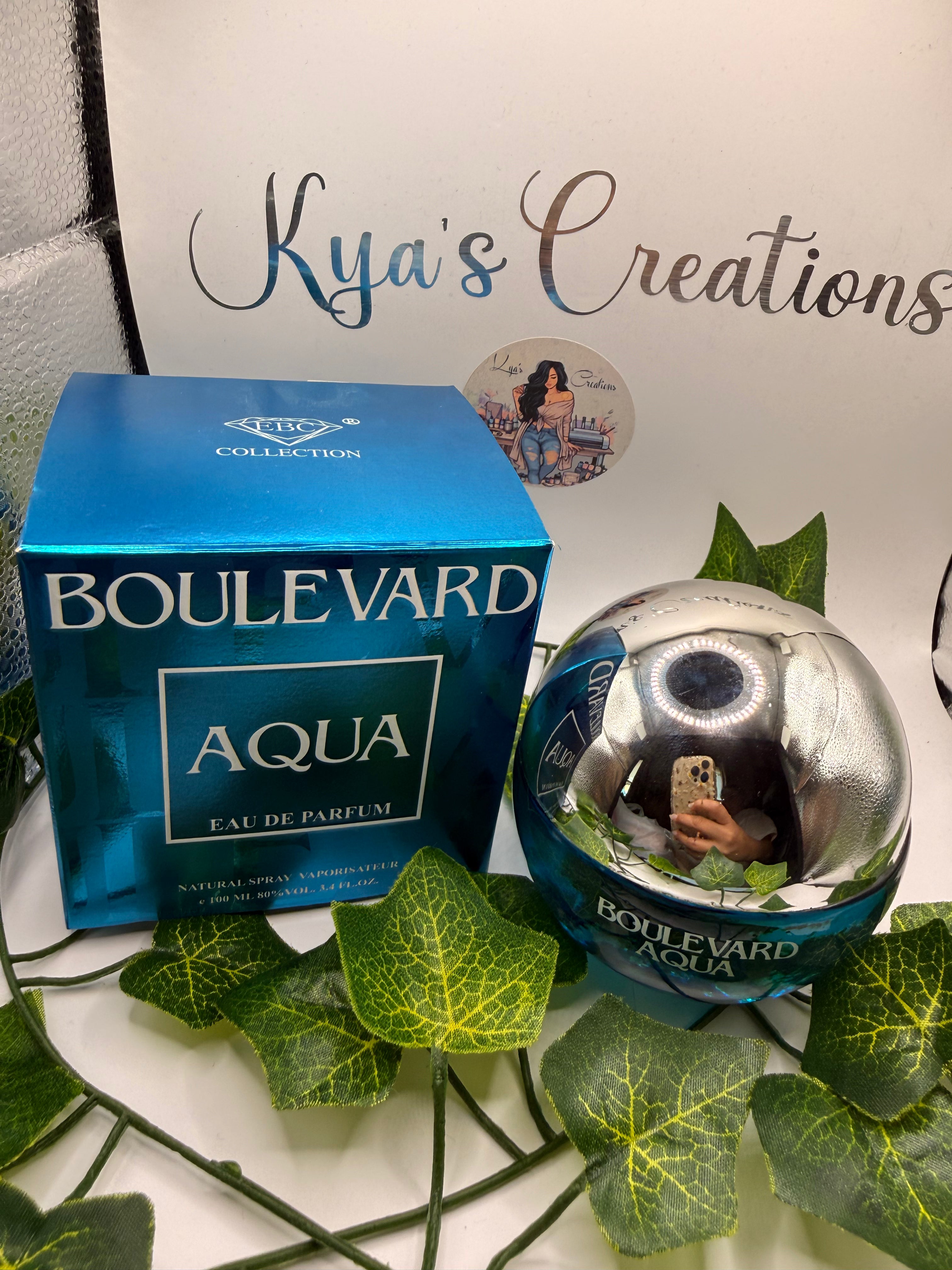 Aqua Boulevard